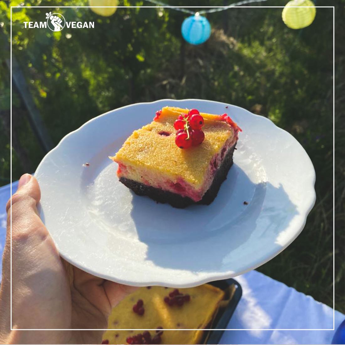 Brownie-Cheesecake mit Johannisbeeren - Team Vegan © vegan t shirt