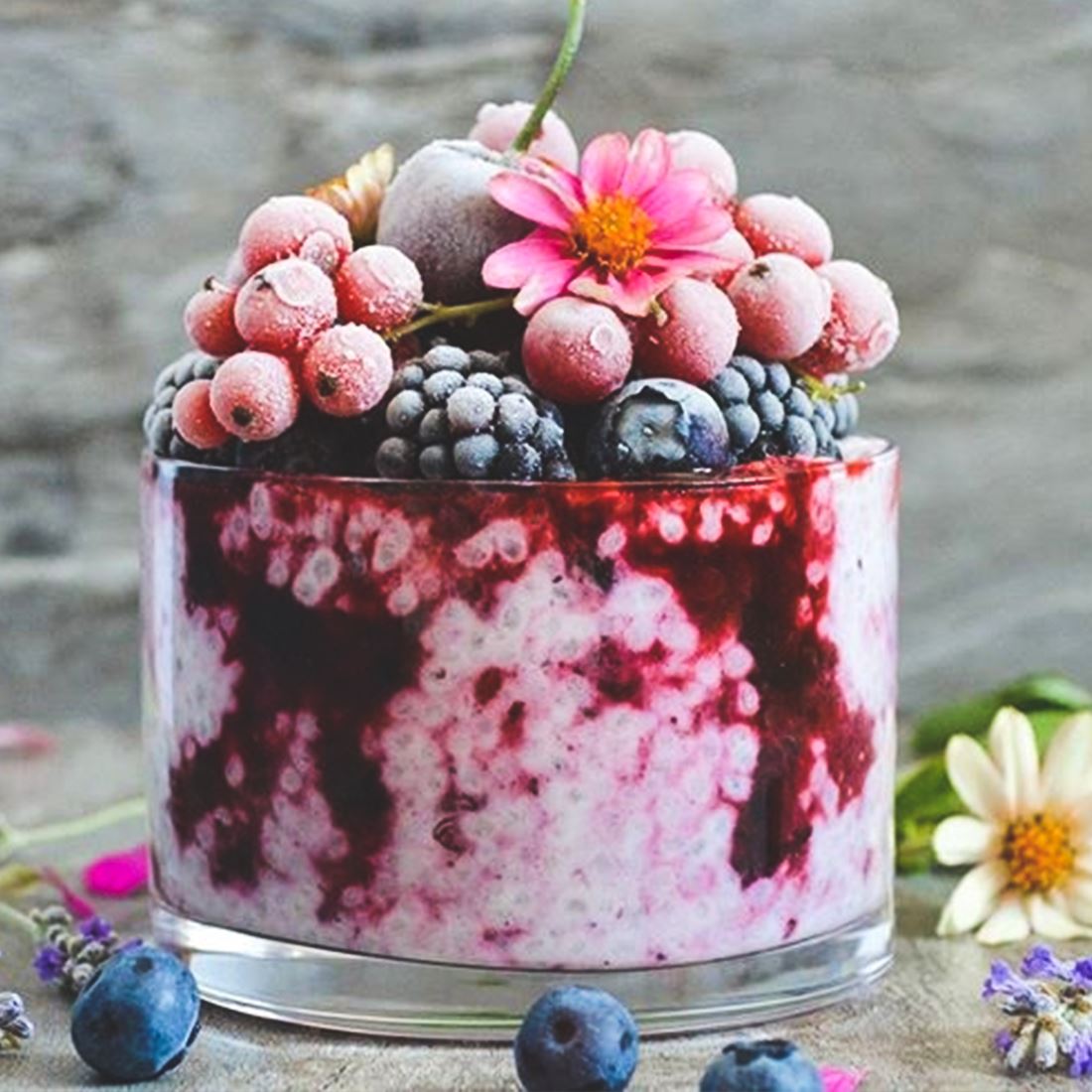 Himbeer Chia-Pudding vegan, fruchtig und einfach - Team Vegan © vegan t shirt