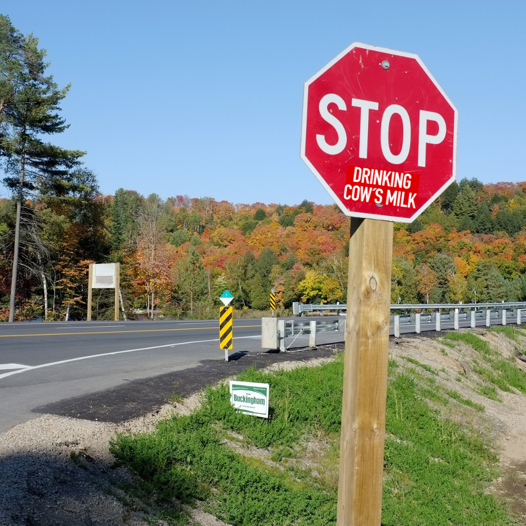 Stop drinking cow´s milk - Stopschild - 10 Sticker - Vegane Aufkleber