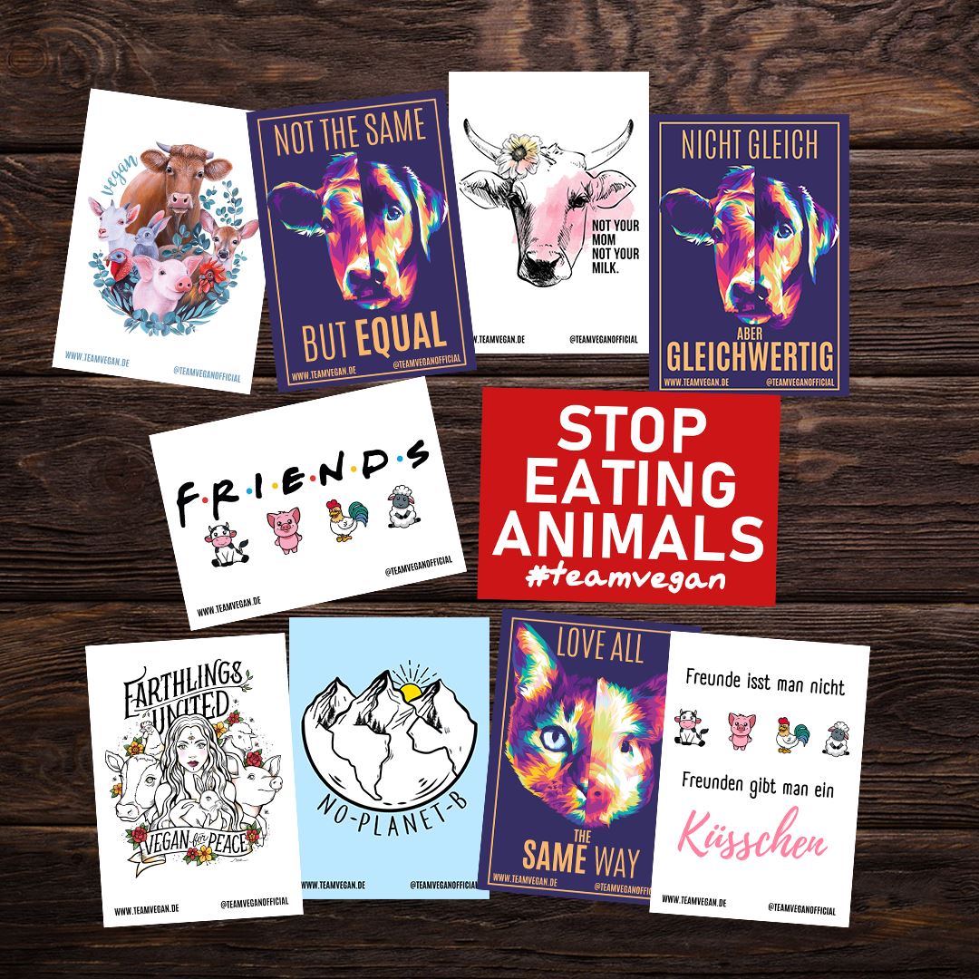 Sticker Bundle #1 Team Vegan ©