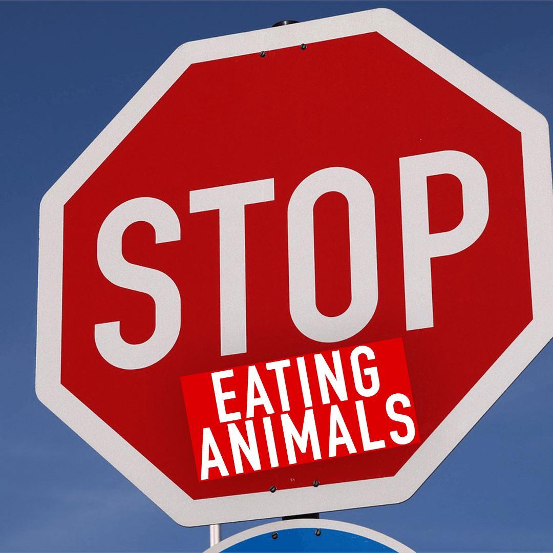 Stop eating animals - Stopschild - 10 Sticker - Team Vegan © vegan t shirt