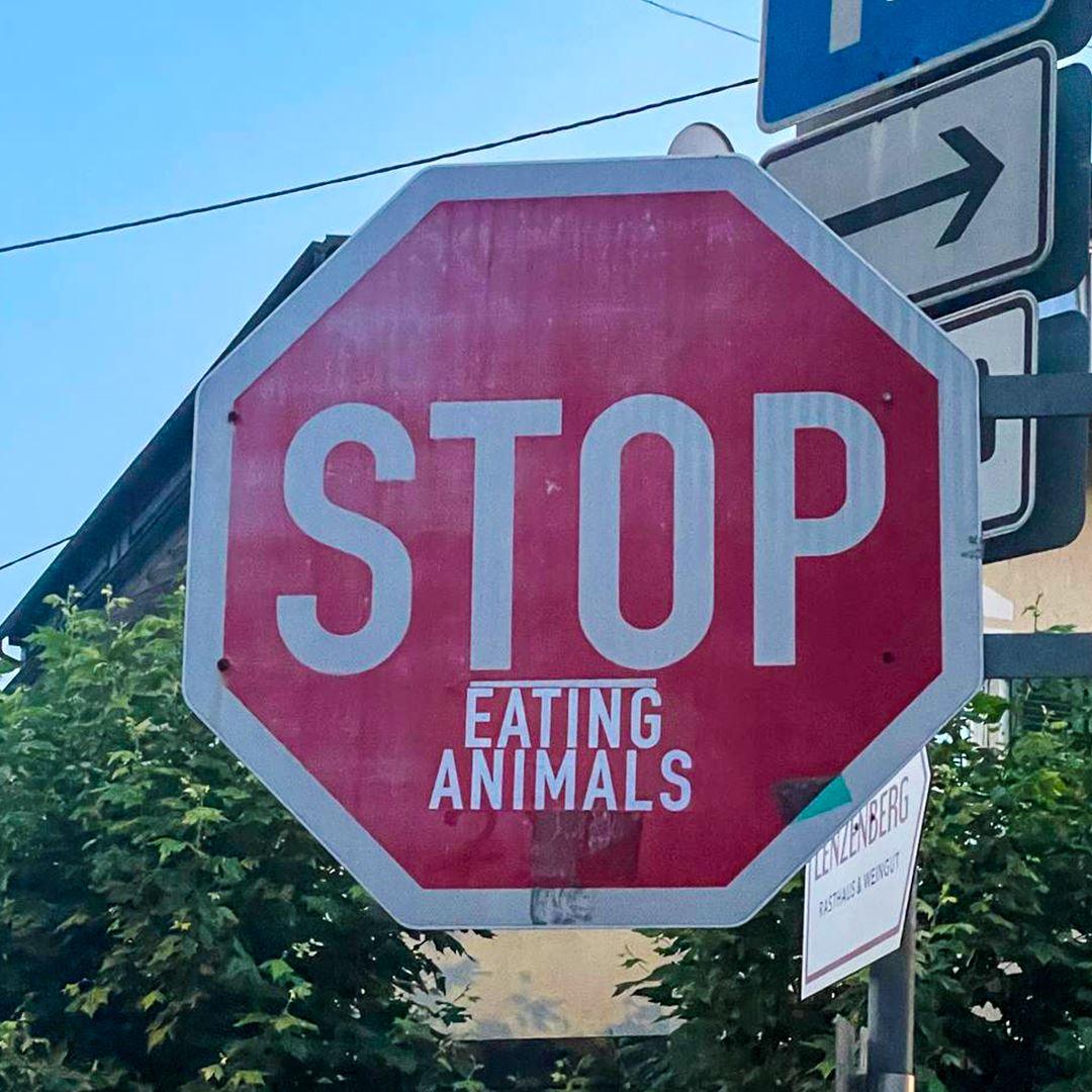 Stop eating animals - Stopschild - 10 Sticker - Team Vegan © vegan t shirt