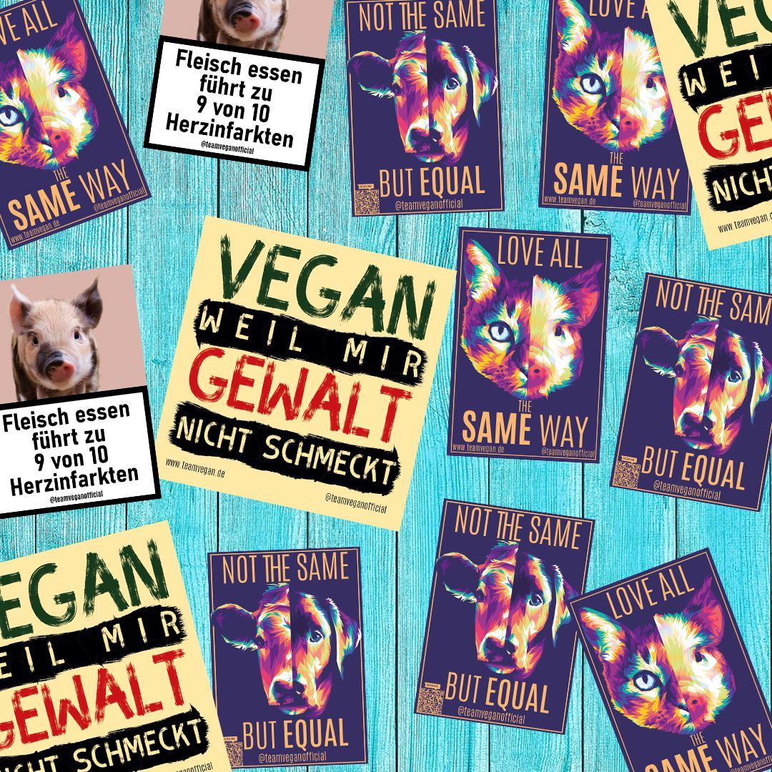 Sticker Set - 20 Sticker - Team Vegan © vegan t shirt